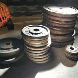 Weight Plates - 1 Inch - 337.5 lbs