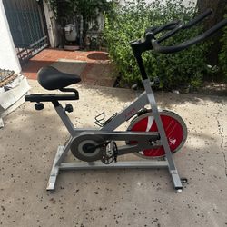 Sunny Exercise Bike