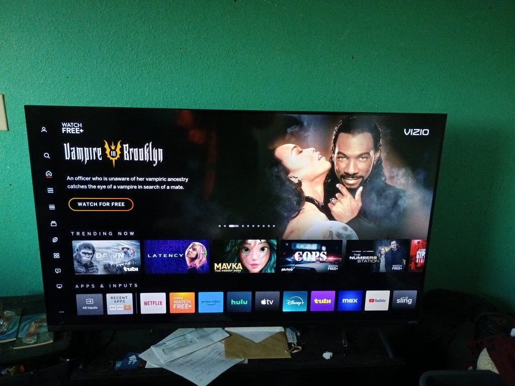 55 Inch Vizio TV