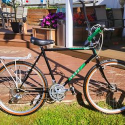 Ross MT. St Helens High Tech 26 inch - Real luggage rack -  (Pasadena)