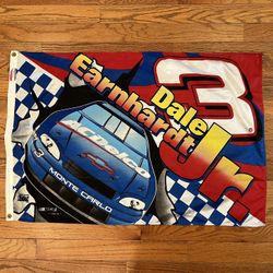 Dale Earnhardt Jr NASCAR Flag Busch Series 1998 DEI Vintage 90s Outdoor Yard