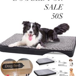 DOG BED ORTHOPEDIC 