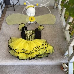 Girls Costume Sz. 4-6. Years. Bee. Tutu Skirt.  