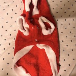small dog christmas costume