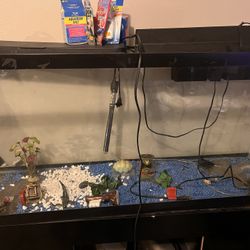 Fish Tank (75 gallons)