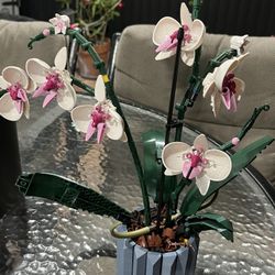 LEGO Icons Orchid Plant and Flowers Set 10311 build set complete