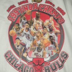 Bulls Championship Locker Room T-shirt W/tags