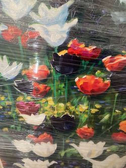 🌷 tulips picture
