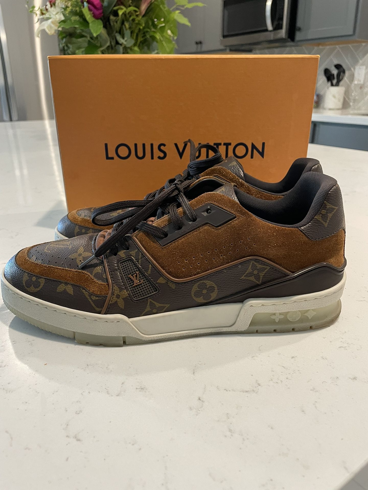 Louis Vuitton LV Trainer trainers 7UK fits 9-10 In Mens for Sale in  Covington, KY - OfferUp