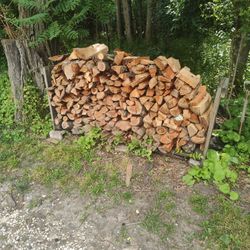 Firewood