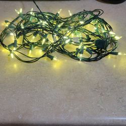 Christmas Lights - 100 Count White Lights