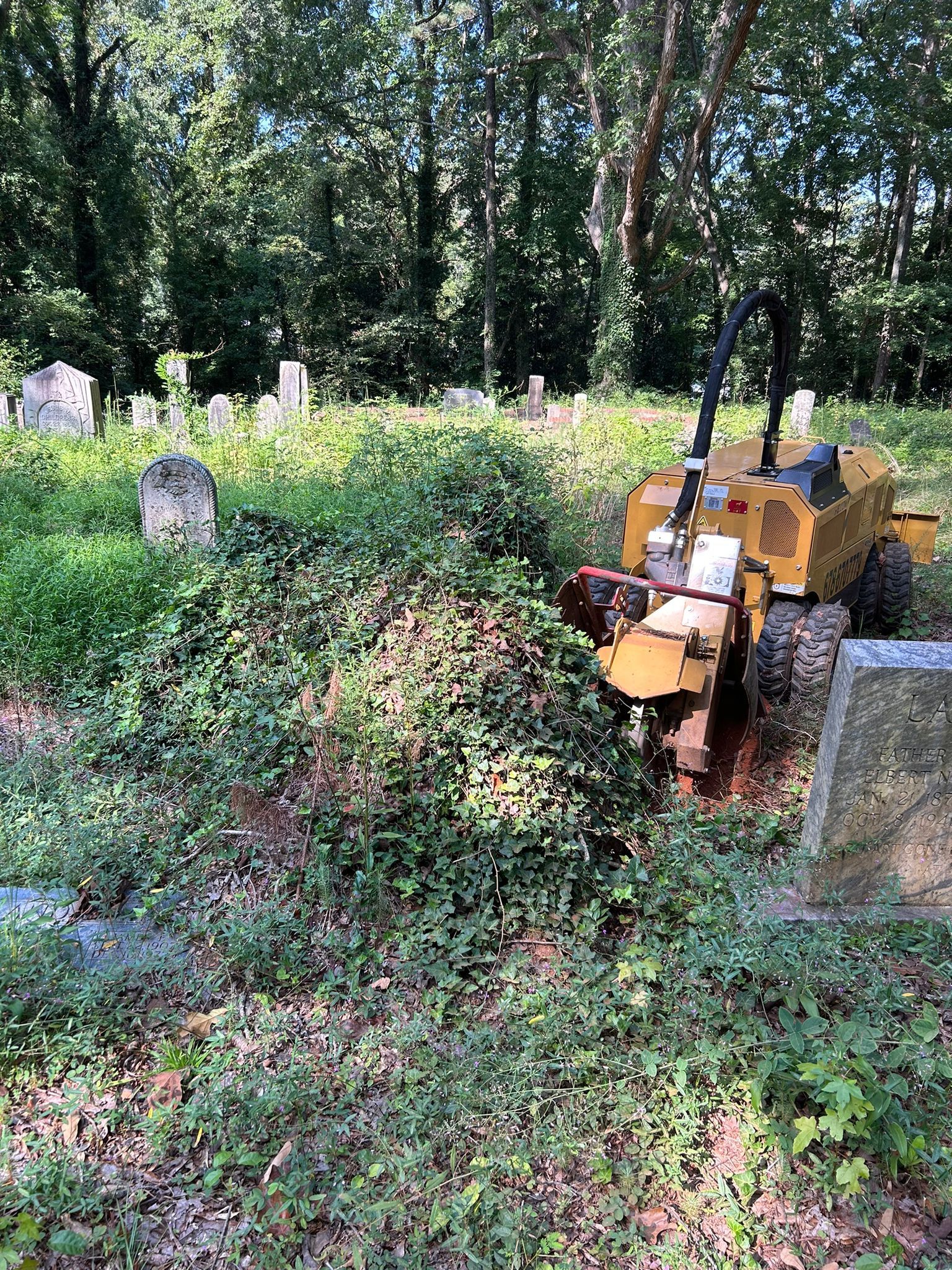 Stump Grinding
