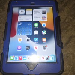 Ipad mini 4 with case
