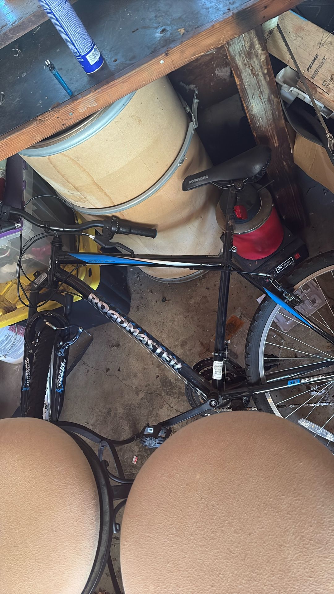 Roadmaster Bike