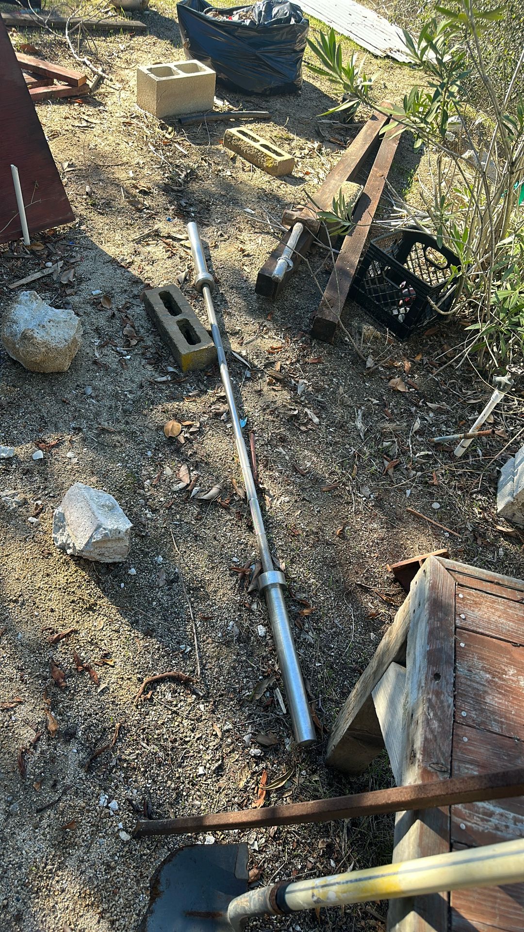 Stainless Comp Bench Press Bar