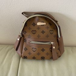 Bag, Brand New 