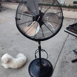Pedestal Fan 20 Inch.