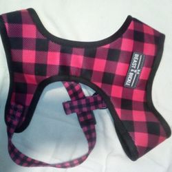 Dog Harness & Matching Leash