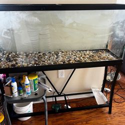 50 Gallon Aquarium With Stand And Accessories 