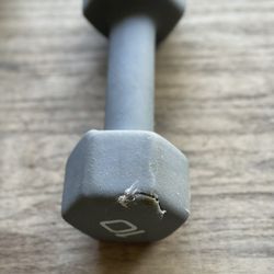 Single 10lb Dumbell