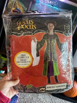 Hocus Pocus Costume
