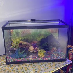 Tank