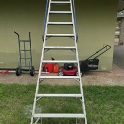 Aluminum Dock Rail Ladder 12 feet - 10 Steps