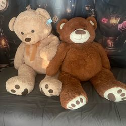Giant Teddy Bears