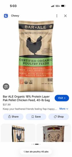 Chicken food