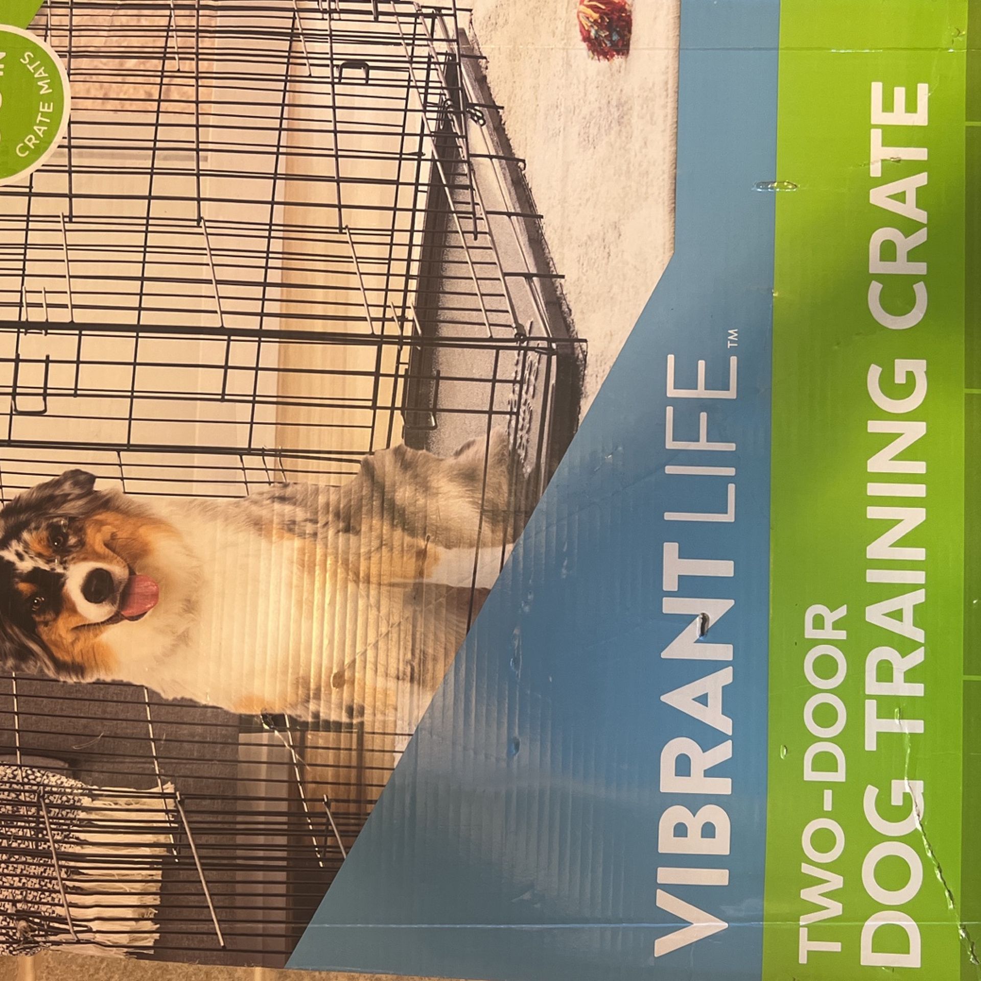 Dog Training Create