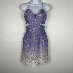 Hello Molly Purple Lace Ombré Mini Dress
