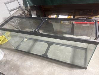 Two large glass aquarium fish or reptiles good condition
