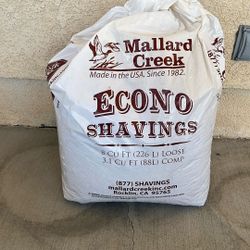 Pine Shavings 
