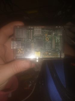 Raspberry P1 2011,12