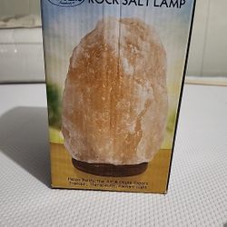 New Fine Life Products Rock Salt Lamp