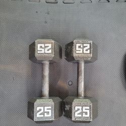 25lbs Weights 