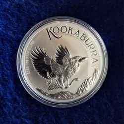 2024 Australian Kukaboora