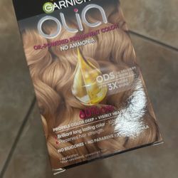 Garnier Hair Color 
