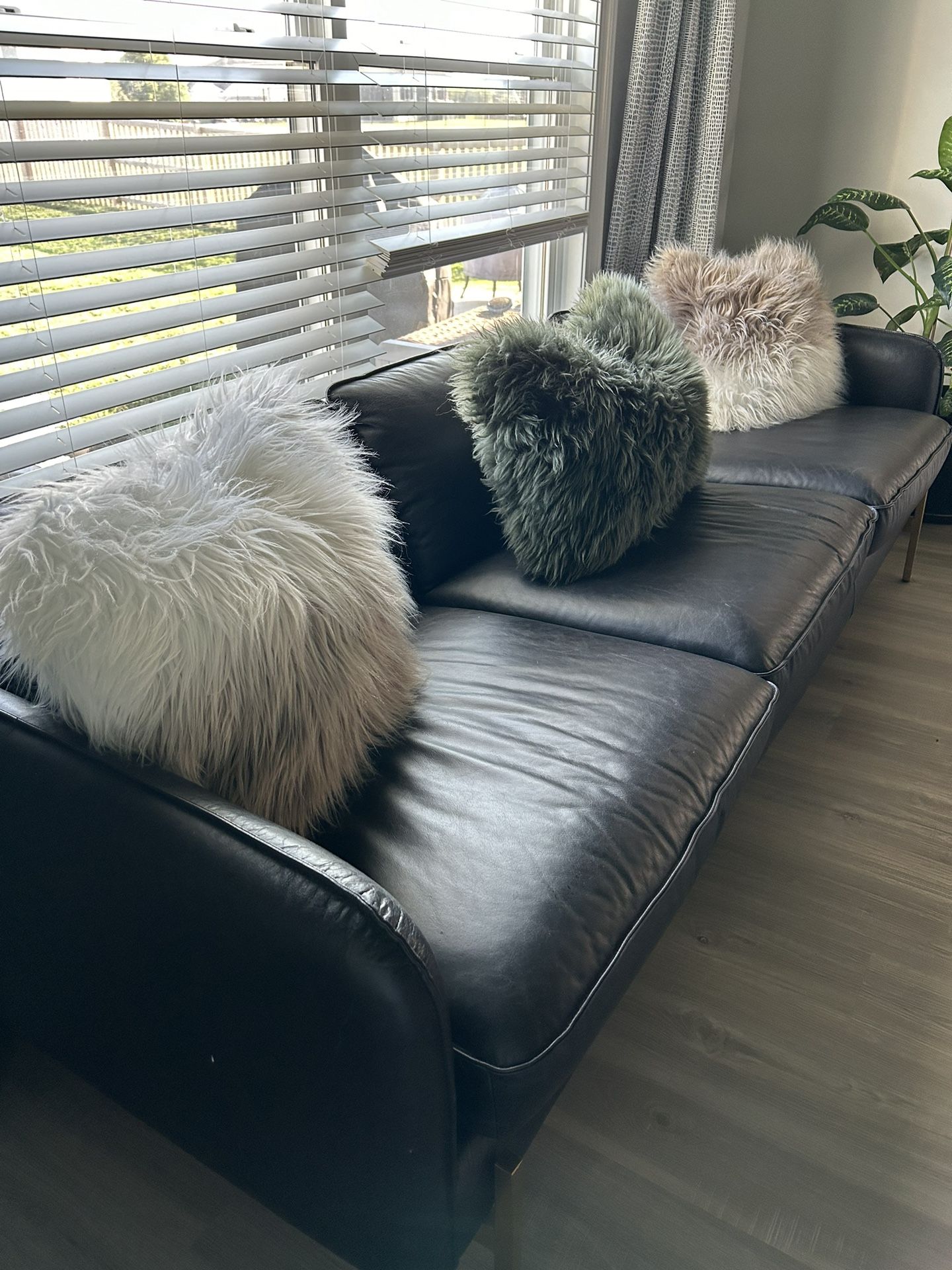 Leather Sofa