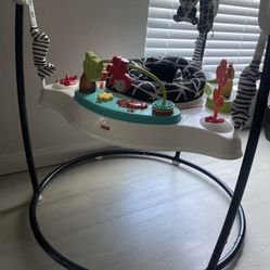 Fisher Price Bouncer 