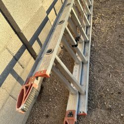 25 Ft Ladder 