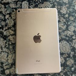 Ipad Mini Series 5 Fully Functinonal Just Needs Screen Replaced