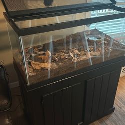 Terrarium with cabinet and screen