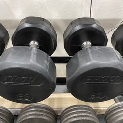 65lb Dumbbells