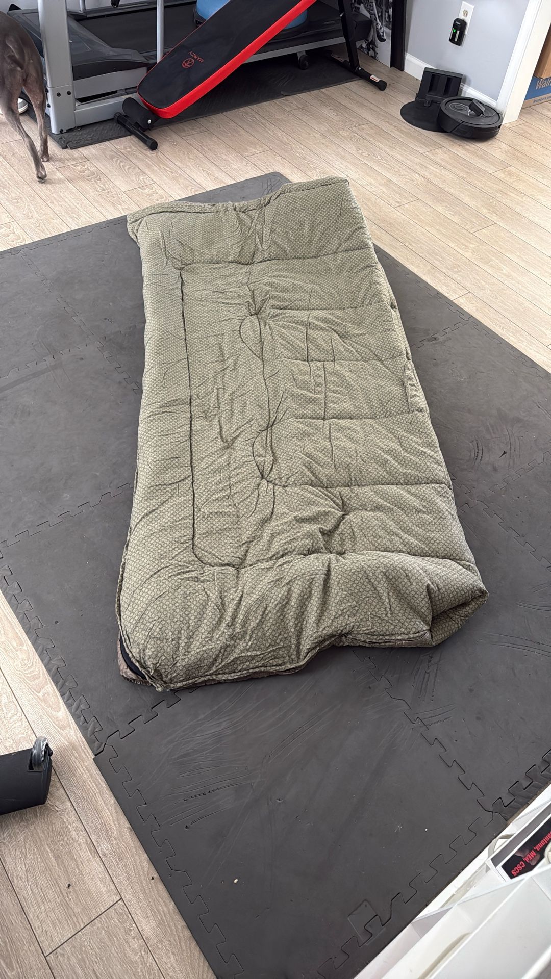 Sleeping Bag,Adult Size
