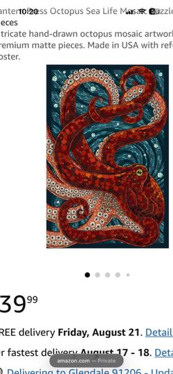 1000 piece octopus jigsaw puzzle by Lantern Press boxes and stuff