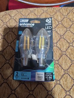 Feit electrical bulbs