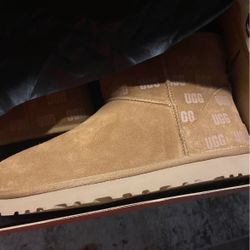 Brand New Men’s Ugg Boots 
