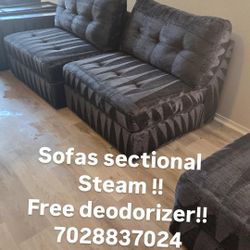 Sofas Sectional Carpets Steam 