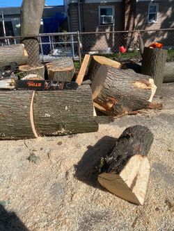 Free Firewood
